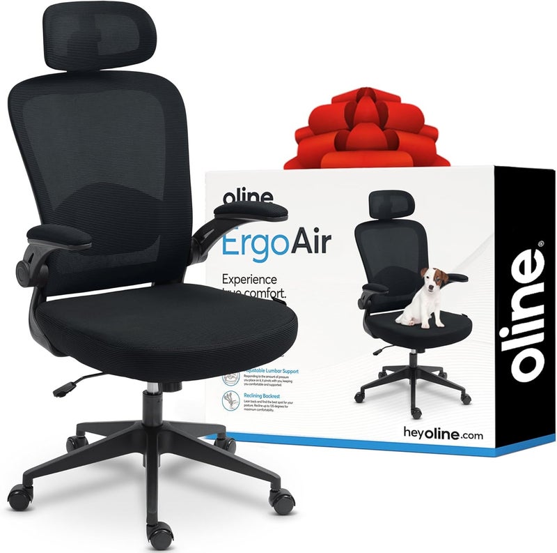 Oline ErgoAir Ergonomic Office Chair – Adjustable Lumbar Support, Flip-Up Armrests, Mesh Computer Desk Chair, Swivel Rolling Executive Gaming Chair for Home & Office (Black) - Image 1